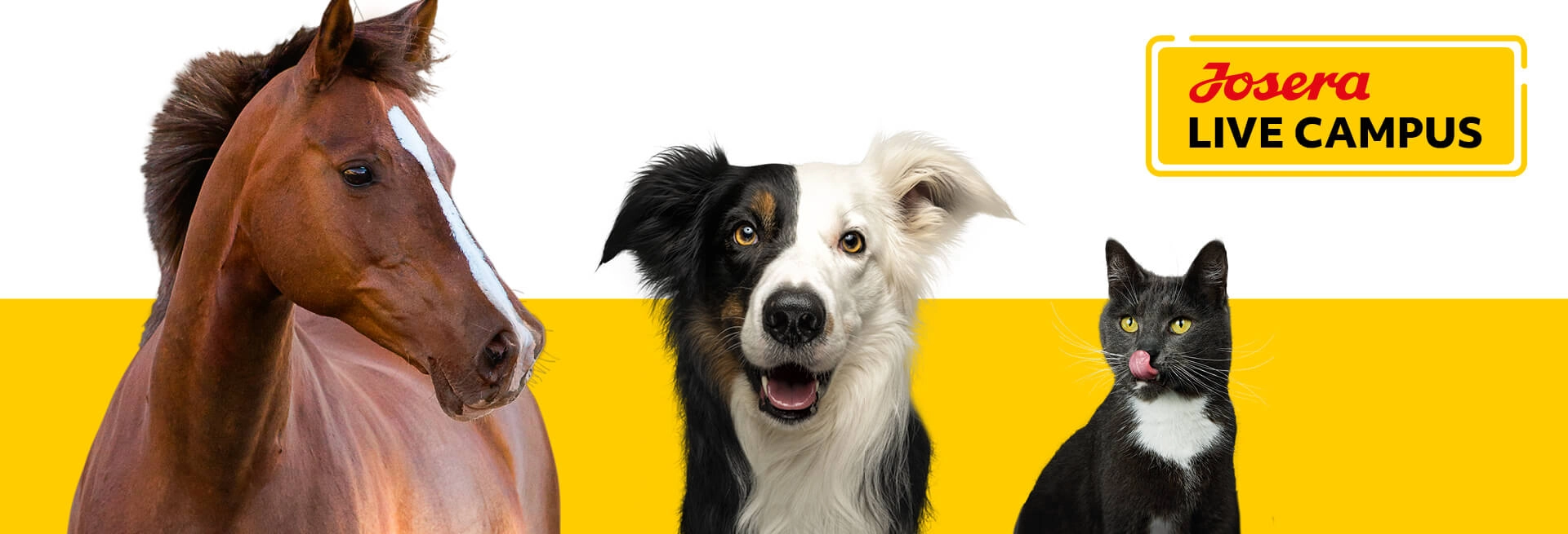 Live Campus Header-Logo